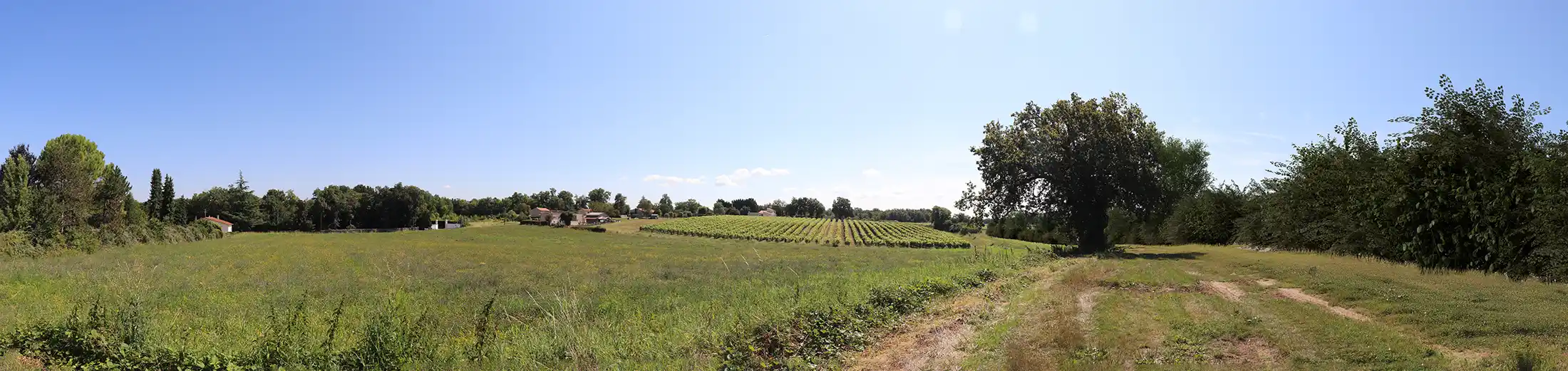 Après